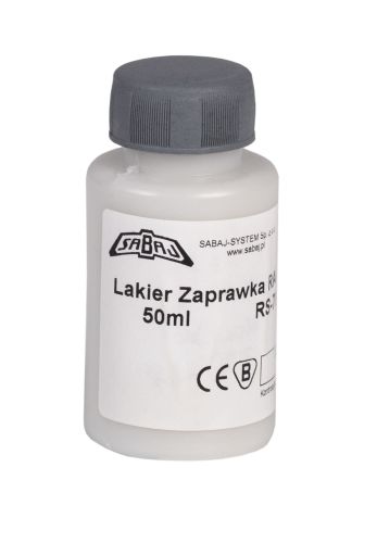 Lakier do zaprawek RS-7035.jpg